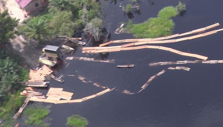 Polda Riau Buru 6 Pelaku Kejahatan Hutan Ilegal Logging di Cagar Biosfer