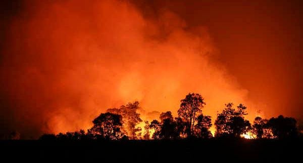 Negara Kalah Lawan Perusahaan Pembakar Lahan, Jaksa Didesak Kasasi Vonis Bebas PT Gandaerah Hendana oleh Pengadilan Tinggi Pekanbaru 