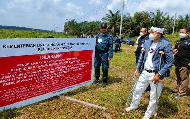Kang Dedy Pakai Tongkat Datang ke Riau Sidak Sawit di Kawasan Hutan: Aneh, Aparat Banyak, Undang-undang Ada, Tapi Tak Ada Tindakan Nyata!