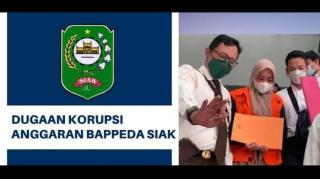 Korupsi Anggaran Rutin Bappeda Siak, Jaksa dan Terdakwa Donna Fitria Ajukan Banding