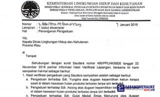 Digoyang Isu Miliki Kebun Sawit di Kawasan Hutan Riau, Begini Respon Gulat Manurung