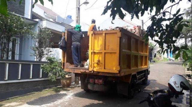 Diangkut Pakai Truk Sampah Pemda, Petugas Kebersihan Curi Sapi Warga