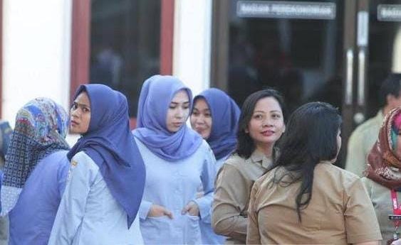 Berlomba Jadi Honorer Pemkab Meranti Gaji Cuma Rp 780 Ribu Sebulan, Infonya Bupati Mau Naikkan Sampai Rp 2,5 Juta