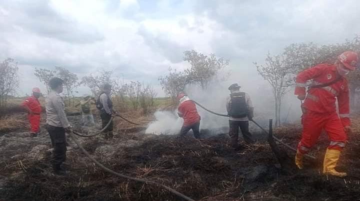 Paling Banyak di PT Sumatera Riang Lestari, Jikalahari Pantau 172 Titik Api Sepanjang Januari-Maret