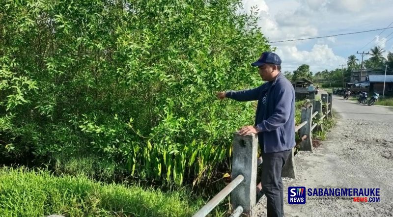 Ratusan Hektar Sawah-Kebun di Pulau Rangsang Terendam Banjir Rob, Nama Gubernur Riau Disebut Lagi