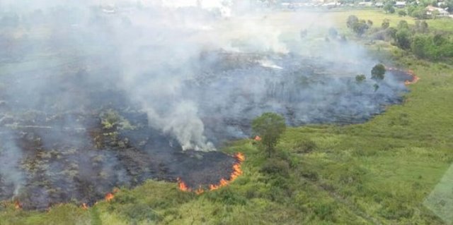 Warga Buka Kebun Sawit, 50 Hektar Lahan Terbakar di Indragiri Hilir