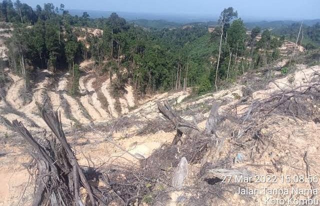 Perampokan Hutan Negara di Kuansing di Depan Mata, Ini Respon Kapolres AKBP Rendra Dinata