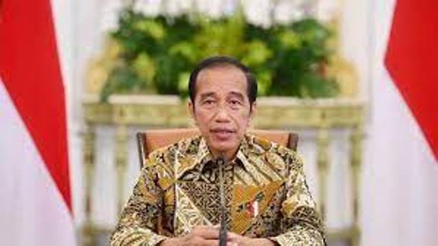 Mendadak! Jokowi Larang Ekspor Minyak Goreng dan CPO, Ada Apa?