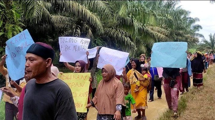 Warga Teluk Sono-Muara Dilam Demonstrasi di Lahan Sawit Dikuasai PT Hutahaean, Ungkit Janji Presiden Jokowi
