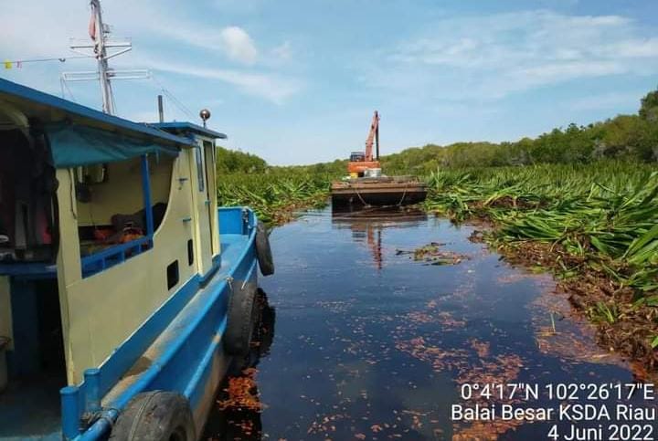 BKSDA Riau Stop Pencucian Sungai Kerumutan oleh Konsorsium Perusahaan di Pelalawan: Tidak Ada Izin Menteri LHK!