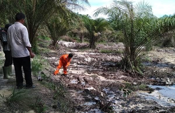 Kadis Lingkungan Hidup Bengkalis Tak Gubris Permintaan LPPHI Soal Laporan Masyarakat Korban TTM Limbah Chevron di Blok Rokan