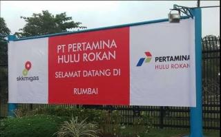 Inilah Daftar Anak Cucu Cicit BUMN Pemain di Blok Rokan, Jadi 