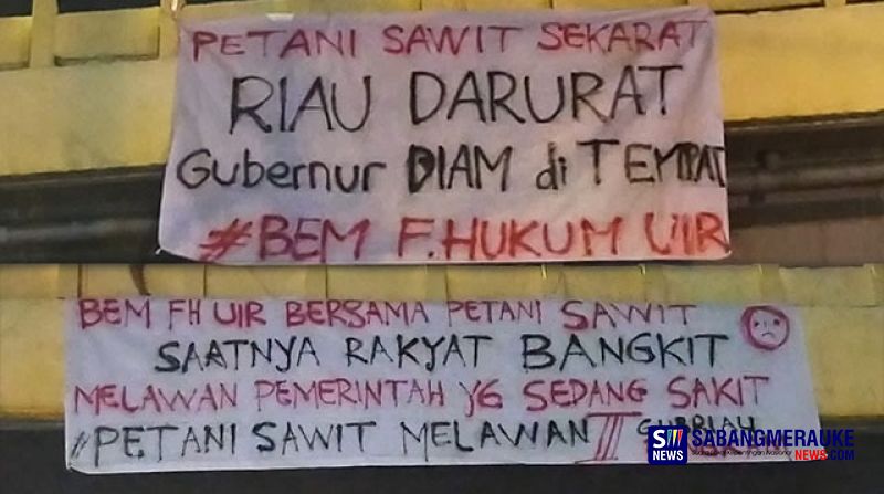 Harga Sawit Anjlok Terjun Bebas, Mahasiswa UIR: Gubernur Riau Diam di Tempat!