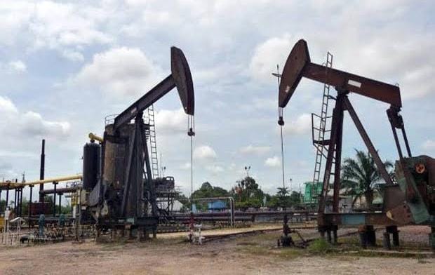 LPPHI Nilai Pejabat PHR Sukamto Tamrin Blunder Soal Pedoman Lelang di Blok Rokan, Minta Pertamina Lakukan Evaluasi