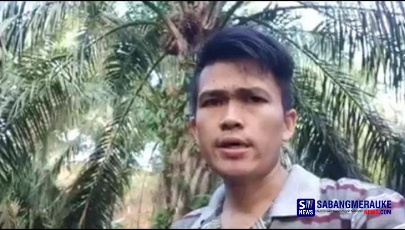 Petani Ini Frustasi Harga Anjlok, Minta Kelapa Sawitnya Dicuri: Gak Akan Saya Lapor ke Polisi! 