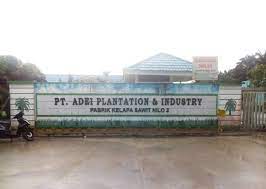 Kuasa Hukum Warga Sakai Tuding PT Adei Plantation di Bengkalis Ingkari Kesepakatan Kebun Plasma