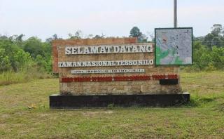 Kebakaran di Taman Nasional Tesso Nilo Tanggung Jawab Kementerian LHK, Pemda Bisa Bergerak Jika Diminta Bantuan