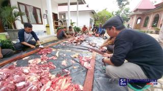 Aqzia Kembali Kurban Pertama Kali Saat Pandemi, Ini Temanya