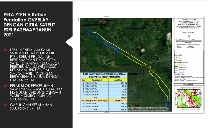 PTP Nusantara V Diduga Babat Hutan Lindung Suligi, Ini Temuan Aliansi Masyarakat Adat Riau