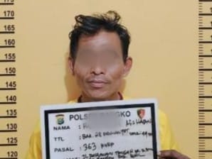 Curi Mesin Senilai Rp 60 Juta Milik PNS, Pria di Rohil Ini Ditangkap Polisi