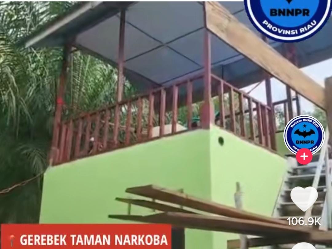 Gerebek Taman Narkoba di Rohil, Tim Khusus BNN Riau Menyamar Jadi Warga 1 Bulan Lamanya