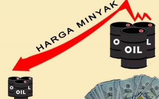 Harga Minyak Dunia Jatuh Lagi, Ini Penyebabnya