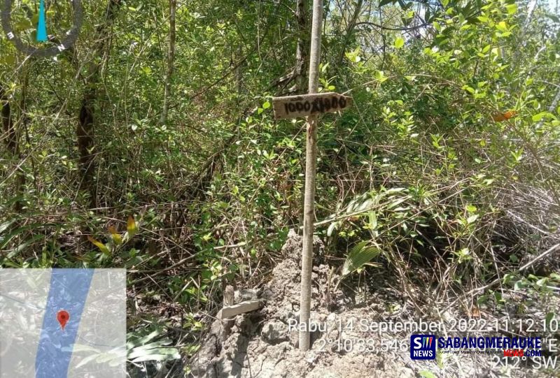Nasib Cagar Alam Pulau Berkey di Rohil yang Sudah Dikapling-kapling, Padahal Merupakan Kawasan Konservasi