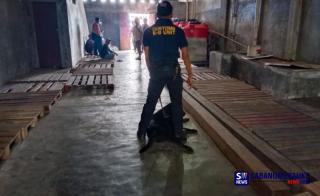 Bea Cukai Geledah Gudang Kapal Kepulauan Meranti Pakai Anjing Pelacak, Endus  Dugaan Sabu 2 Kilogram