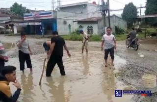 Protes Jalan Rusak, Warga Rokan Hilir Tanam Kangkung di Kubangan Jalan