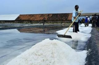 Duduk Perkara Dugaan Korupsi Kuota Impor Garam, Adakah Politisi Parpol yang Dijerat?