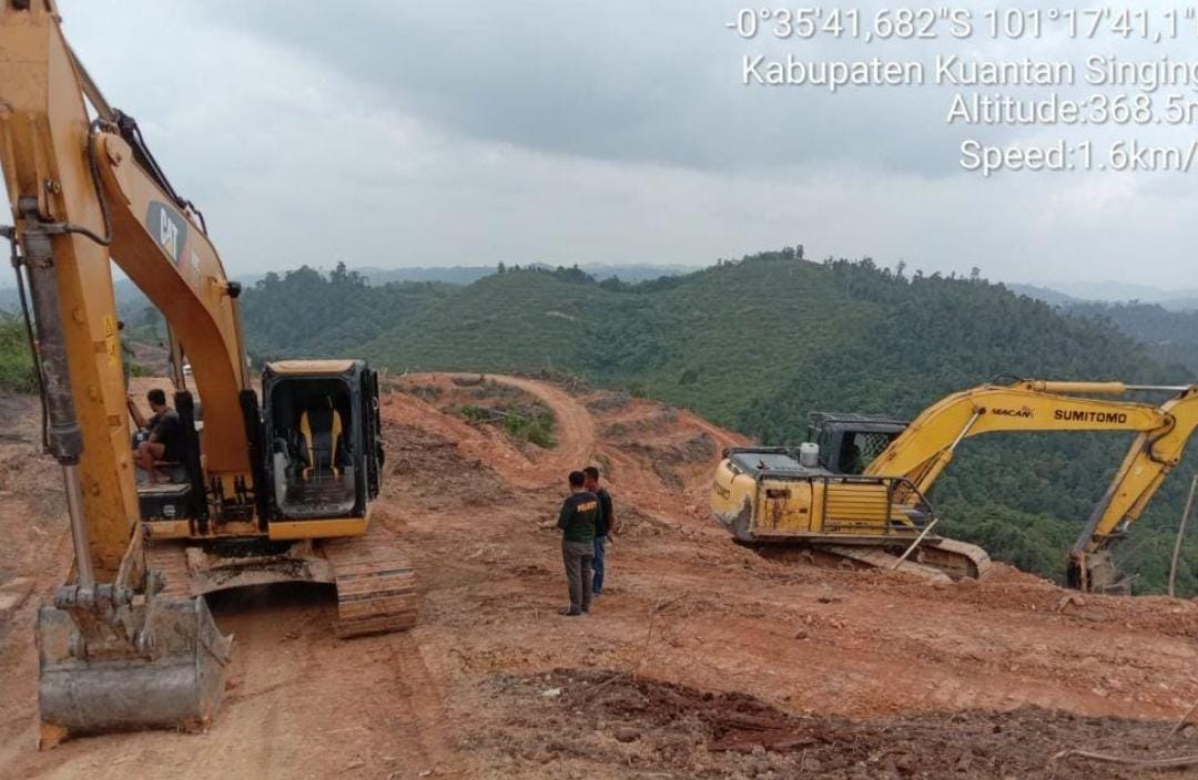 Waduh! Hakim PN Pekanbaru Perintahkan Lepas 2 Alat Berat yang Ditangkap Dinas LHK Riau di HPT Batang Lipai Siabu Kuansing