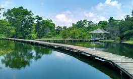 Mengenal Arboretum yang Lagi Tren di Kampus Riau