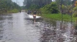 Jalan Provinsi Putus Terendam Air, Masyarakat Keritang Menjerit Harga Sawit Anjlok