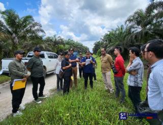 PT Inti Indosawit Subur Bantah Kelola Kebun Sawit 1.200 Hektare di Taman Nasional Tesso Nilo, Lantas Punya Siapa dan Ke Mana Aliran Buah Sawitnya?