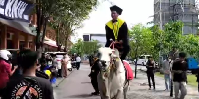 Unik! 3 Mahasiswa Ini Hadiri Wisuda Pakai Kendaraan Tak Biasa, Ada yang Bawa Truk Sampah Hingga Tunggangi Sapi