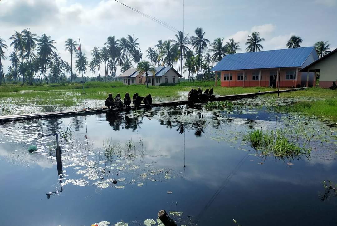 Banjir Rendam 2 Desa di Kepulauan Meranti, DPRD Minta Pemprov Riau Normalisasi Sungai Sendaur