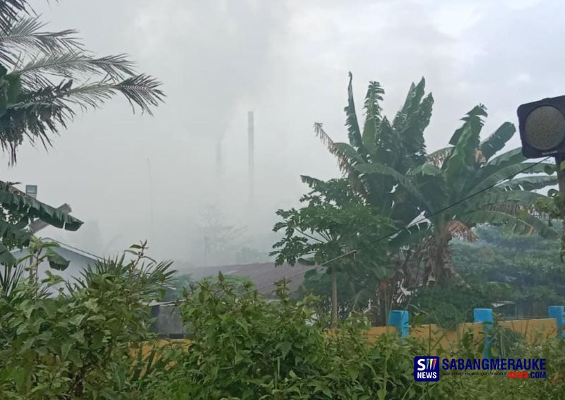 Diduga Cemari Udara, Abu Pabrik PT Pujud Karya Sawit di Rohil Sampai ke Rumah Warga