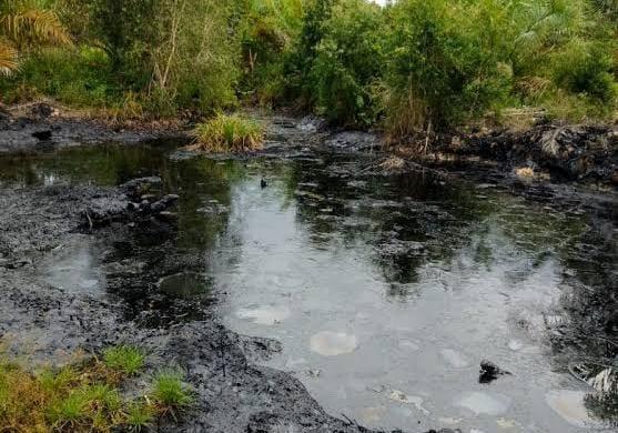 Gugatan Pencemaran Limbah Tanah Terkontaminasi Minyak Warisan Chevron di Blok Rokan Kandas!