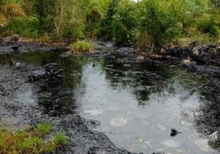 Gugatan Pencemaran Limbah Tanah Terkontaminasi Minyak Warisan Chevron di Blok Rokan Kandas!