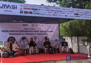 DBH Irit PSR Sulit, Sawit Riau Dicekik Pemerintah Pusat