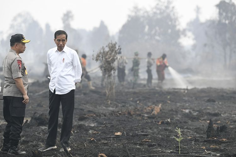 Jokowi Kunjungan Kerja ke Riau, Ini Dua Agenda Utamanya 