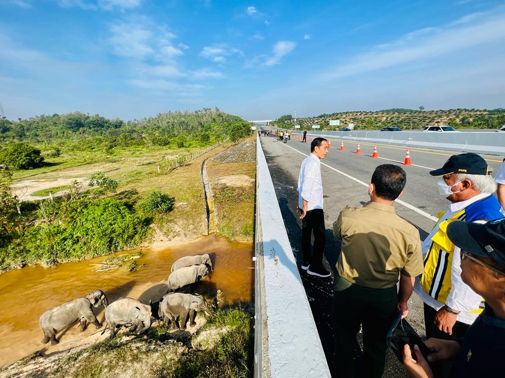 Lihat Lintasan Gajah di Jalan Tol Pekanbaru-Dumai, Jokowi Ingatkan Pembangunan Infrastruktur di Tanah Air Harus Ramah Lingkungan