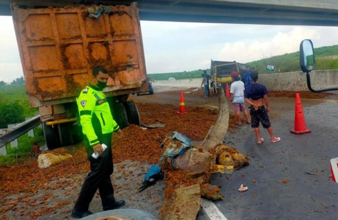 Truk Pengangkut Kelapa Sawit Kecelakaan di Jalan Tol Pekanbaru-Dumai, Muatan Berserakan di Jalanan