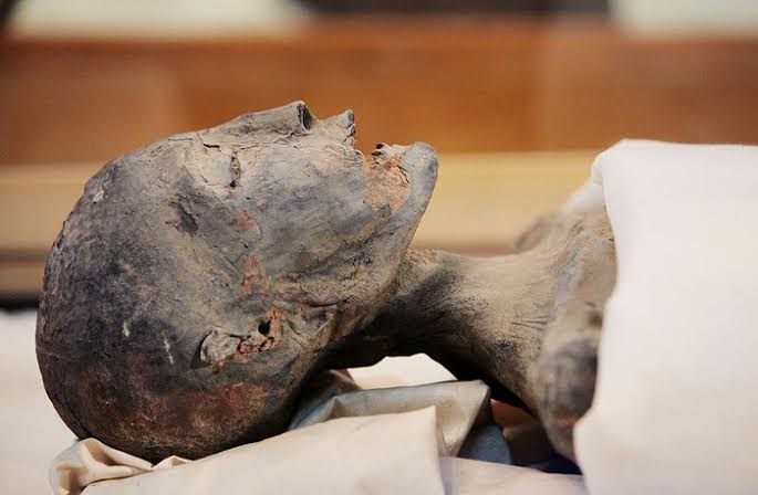 Begini Caranya Orang Mesir Kuno Bikin Jenazah Jadi Mumi