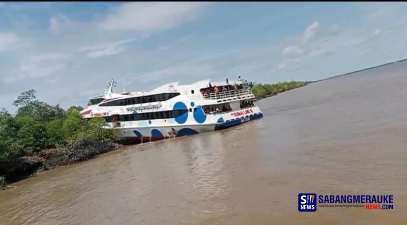 Menuju Selatpanjang dari Tanjung Balai Karimun, Kapal Dumai Line 9 Tabrak Hutan Bakau