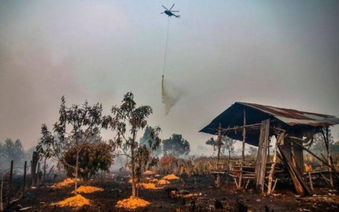 Riau Berstatus Siaga Darurat Karhutla Hingga 9 Bulan ke Depan, Gubernur Syamsuar: Atas Arahan Presiden!