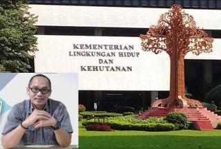 Lucu! Duta Palma Grup Sedang Diproses Kasus Korupsi, Tapi Lahan Kebunnya Diselesaikan Kementerian LHK Lewat Perppu Cipta Kerja