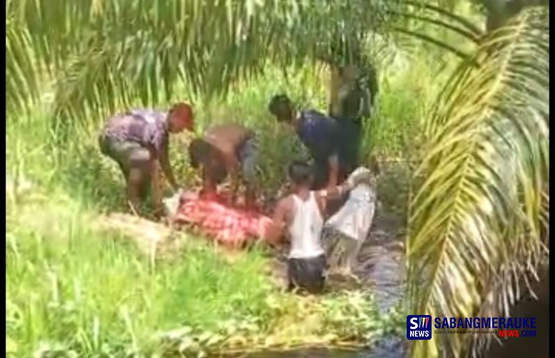 Tak Kunjung Pulang Dari Mencari Brondolan Sawit, Seorang Petani Ditemukan Tewas Tergeletak di Rokan Hilir