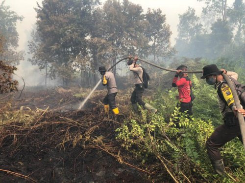 Gawat! Kebakaran Hutan Lahan di Bengkalis Sudah Capai 25 Hektare