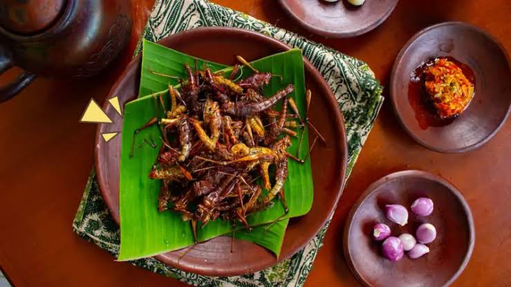 10 Kuliner Ekstrem Ini Ternyata Makanan Khas Indonesia, Mulai Berbahan Belalang Sampai Alat Kelamin Kambing Jantan